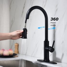 Pull-out Sprinkler Kitchen Faucet (Color: Black)